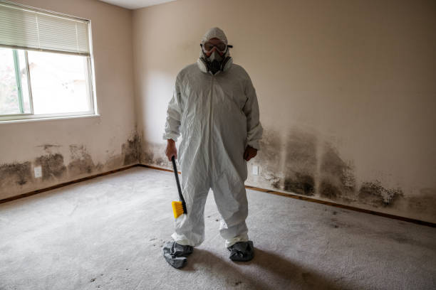 Mold Testing and Removal in Ephrata, PA